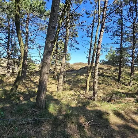 8 Person In Romo Dom wakacyjny Kongsmark